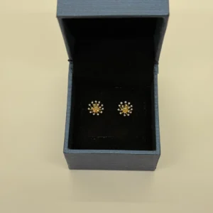 DE-000000008 DE-000000008