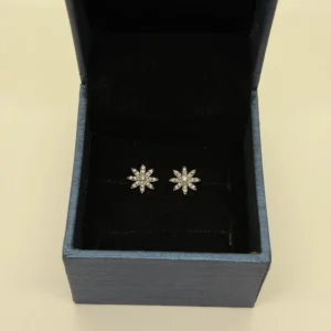 DE-000000010 DE-000000010