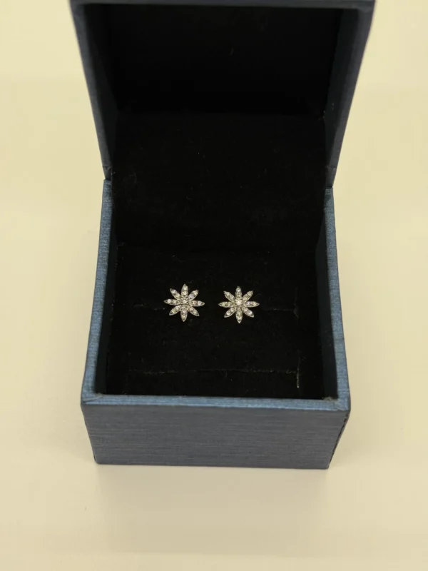 DE-000000010 DE-000000010